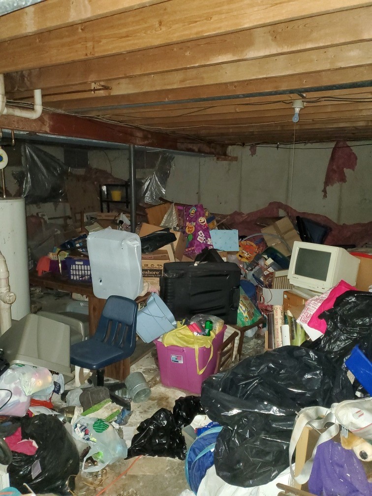 Professional Hoarding Cleanup: Before & After Pictures